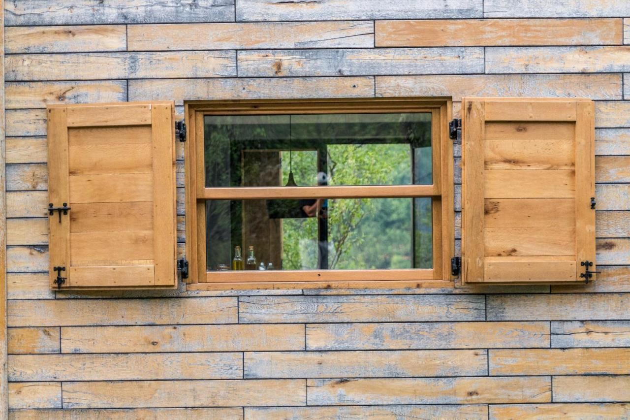 Загородные дома Country House Selo Плужине-23